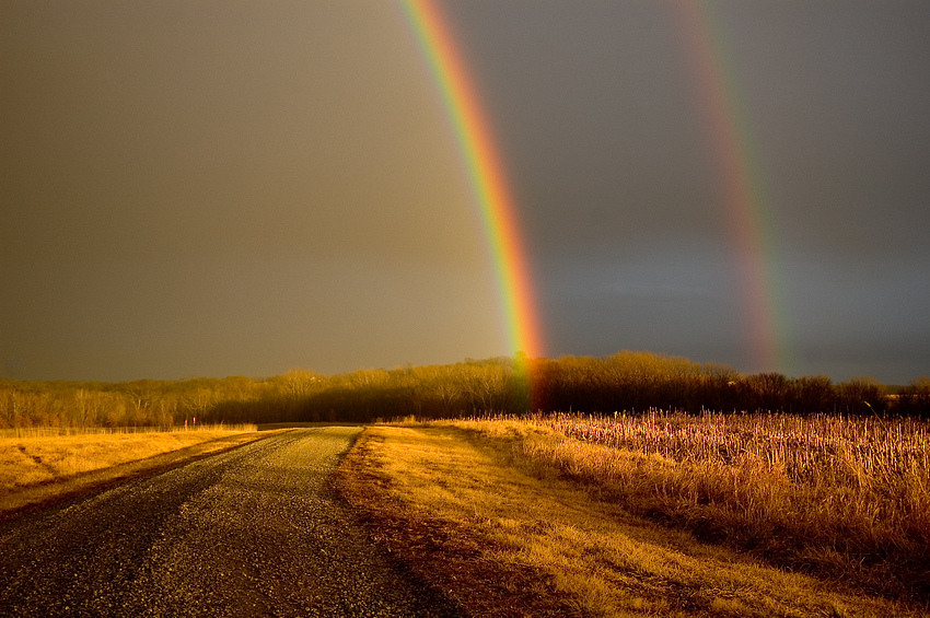 rainbow mfs 8